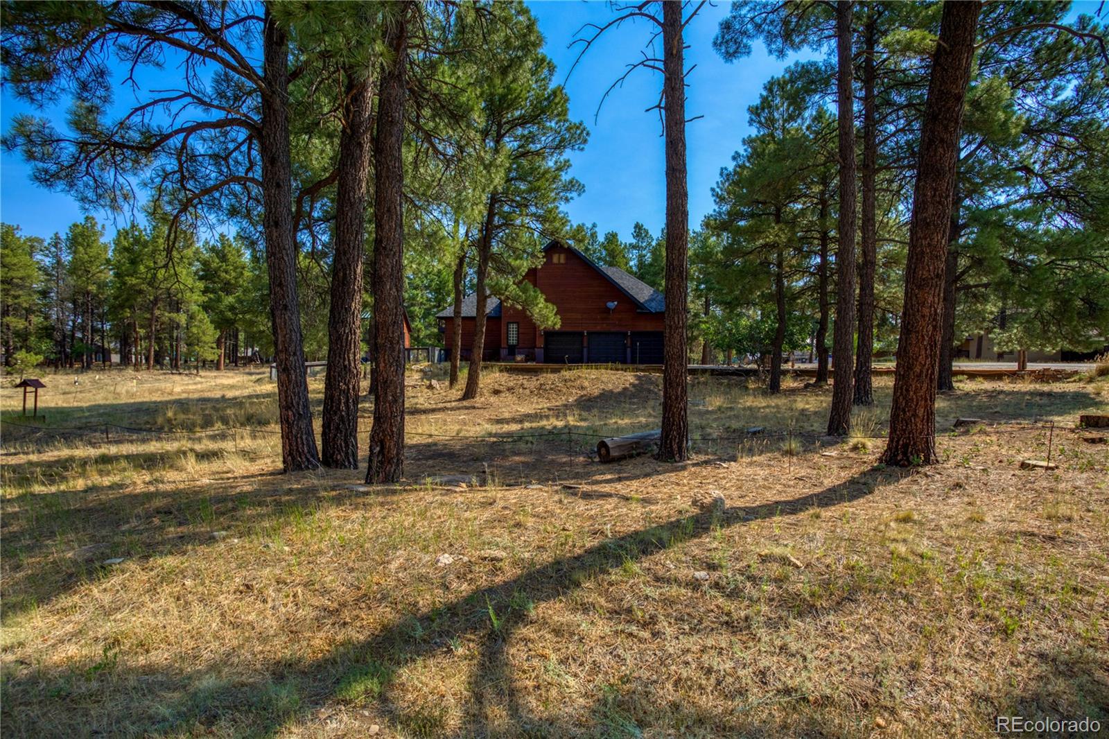 MLS Image #48 for 125  teakwood drive,pagosa springs, Colorado