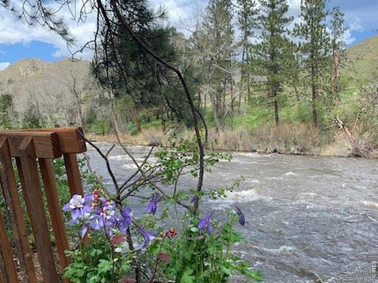 MLS Image #33 for 198  poudre river road,bellvue, Colorado