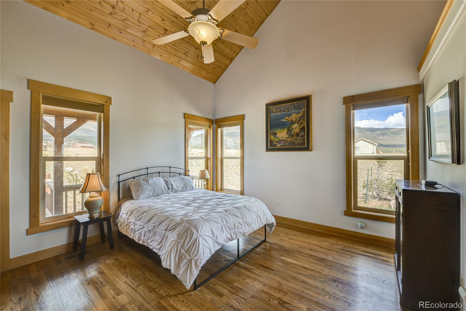 MLS Image #26 for 30967  fourteener circle,buena vista, Colorado