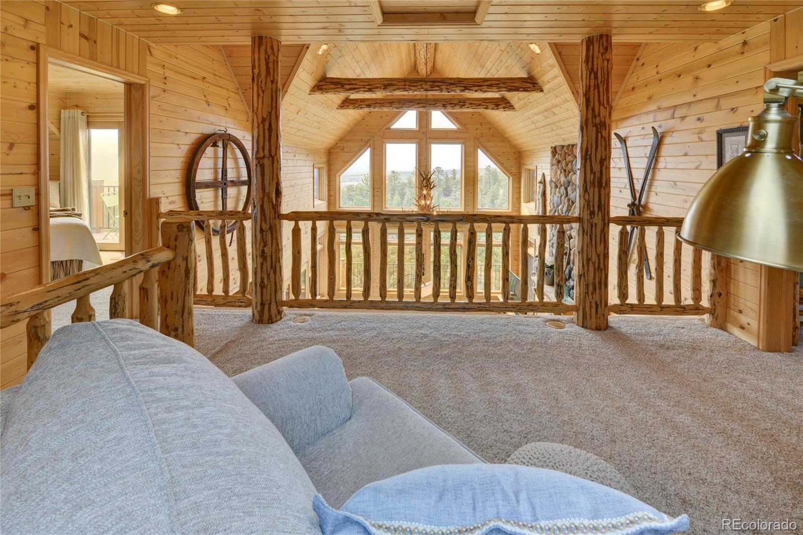 MLS Image #27 for 16090  falcon drive,nathrop, Colorado