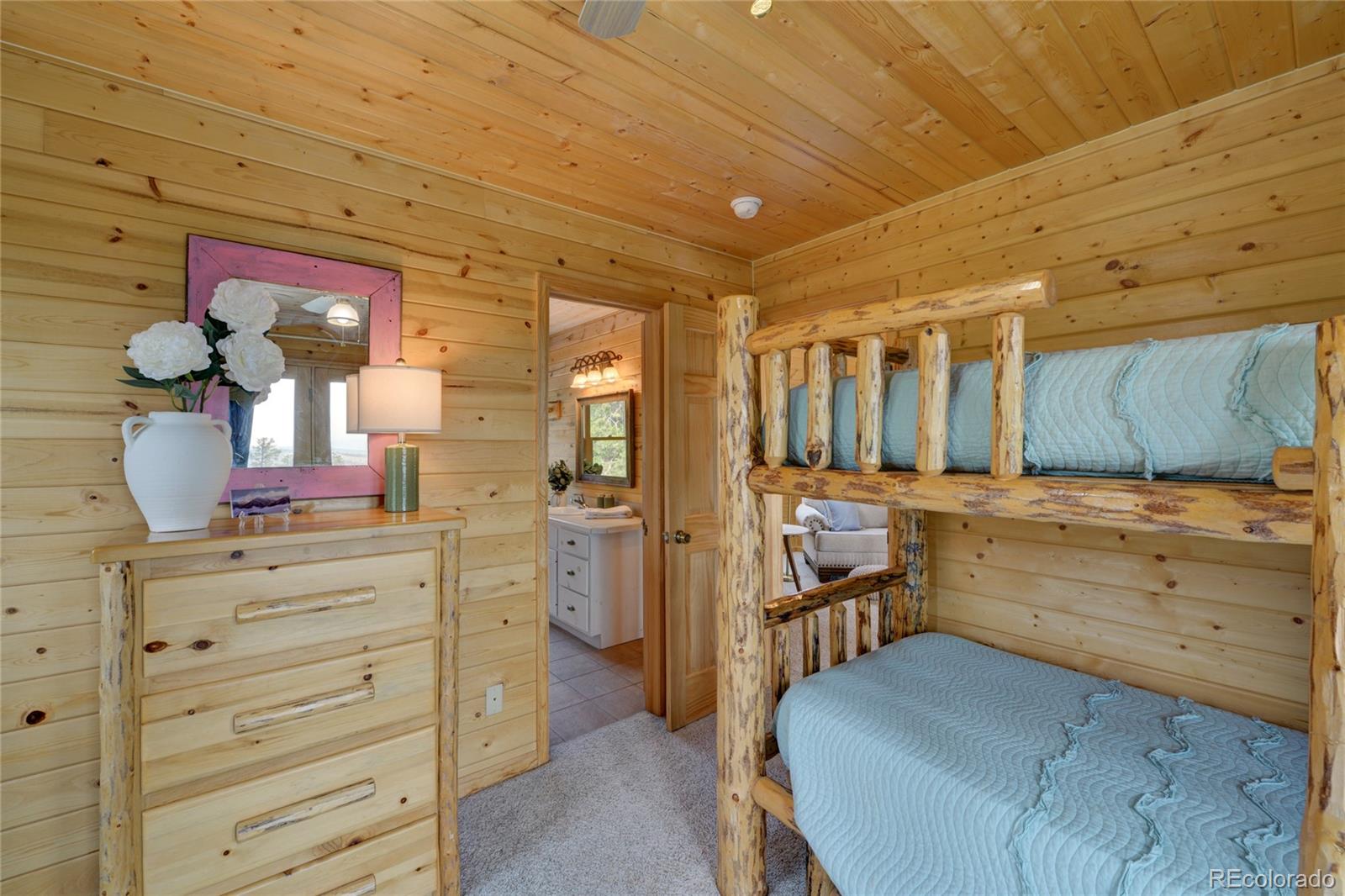 MLS Image #30 for 16090  falcon drive,nathrop, Colorado