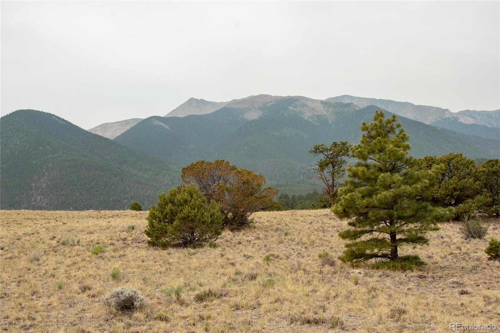 MLS Image #45 for 16090  falcon drive,nathrop, Colorado