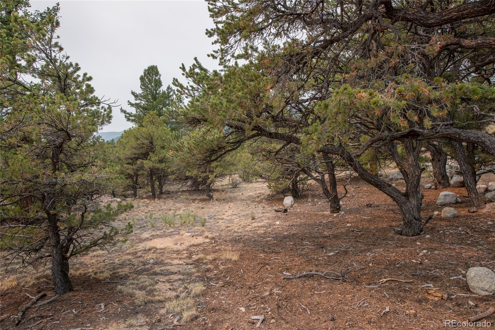 MLS Image #46 for 16090  falcon drive,nathrop, Colorado