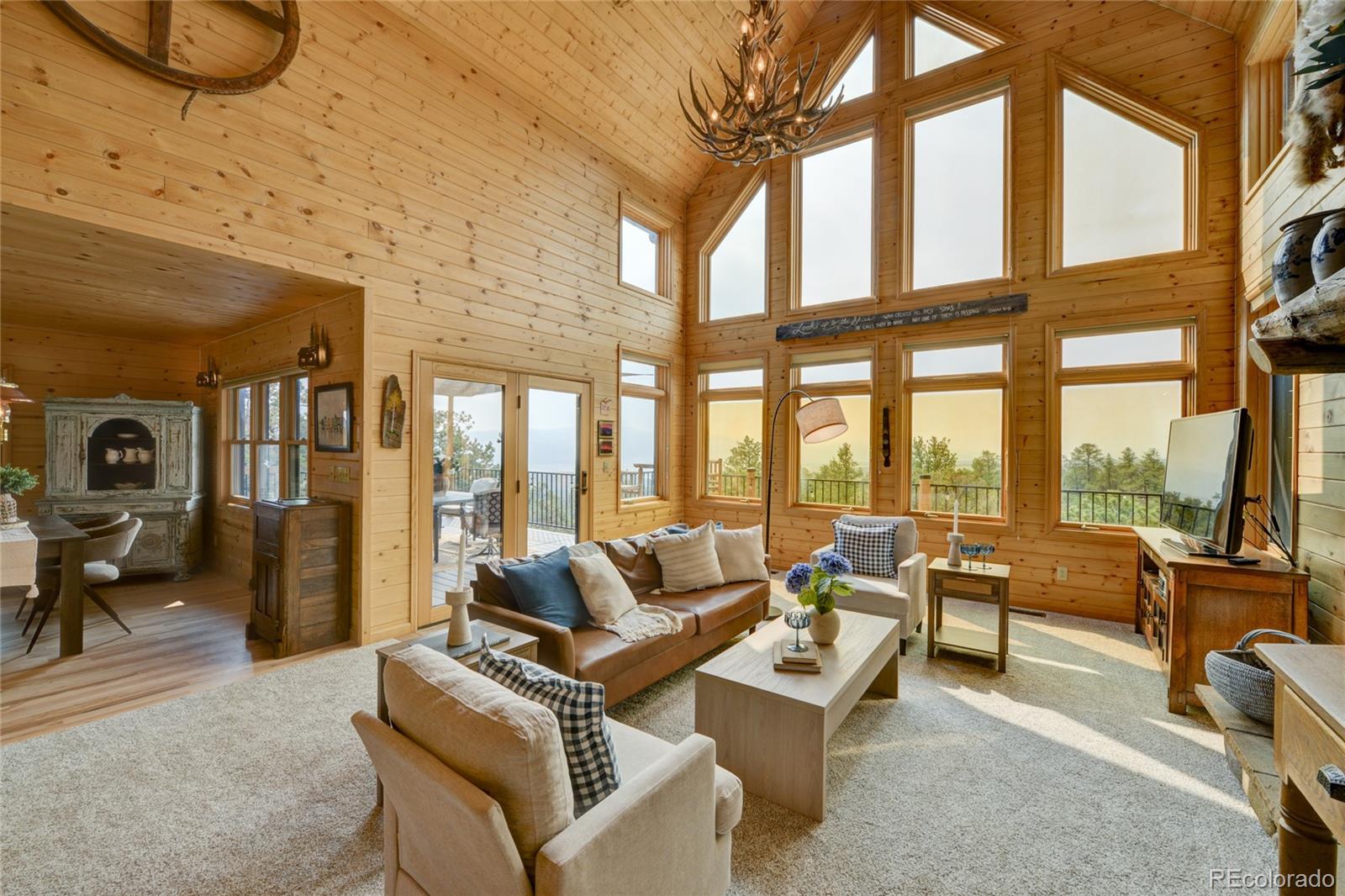 MLS Image #7 for 16090  falcon drive,nathrop, Colorado