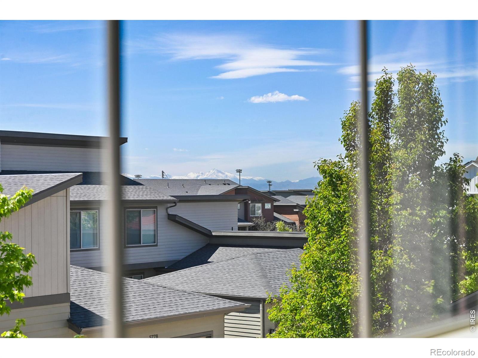 MLS Image #17 for 5779  boston street,denver, Colorado
