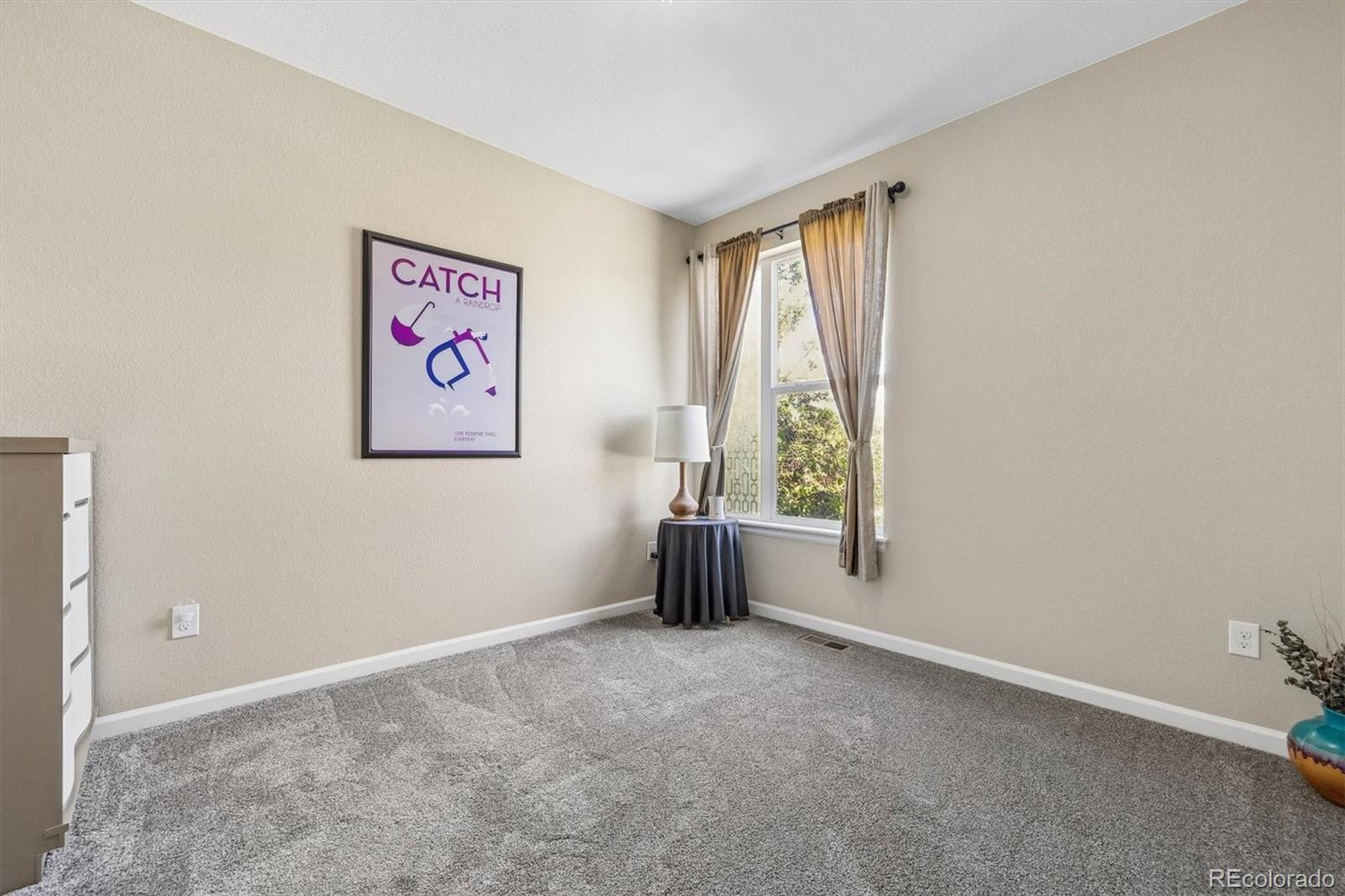 MLS Image #16 for 8416  arapahoe peak street,littleton, Colorado