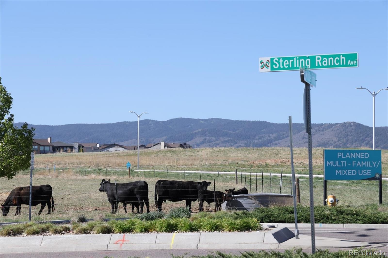MLS Image #41 for 8416  arapahoe peak street,littleton, Colorado
