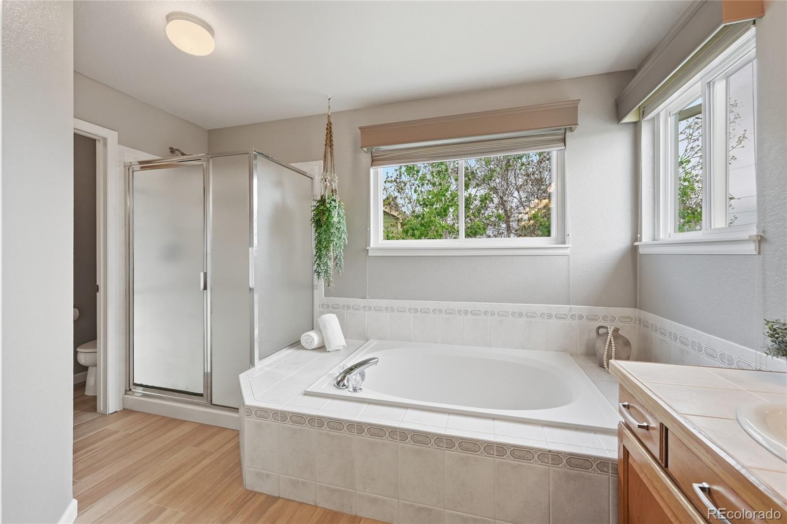 MLS Image #21 for 6449 s jericho way,centennial, Colorado