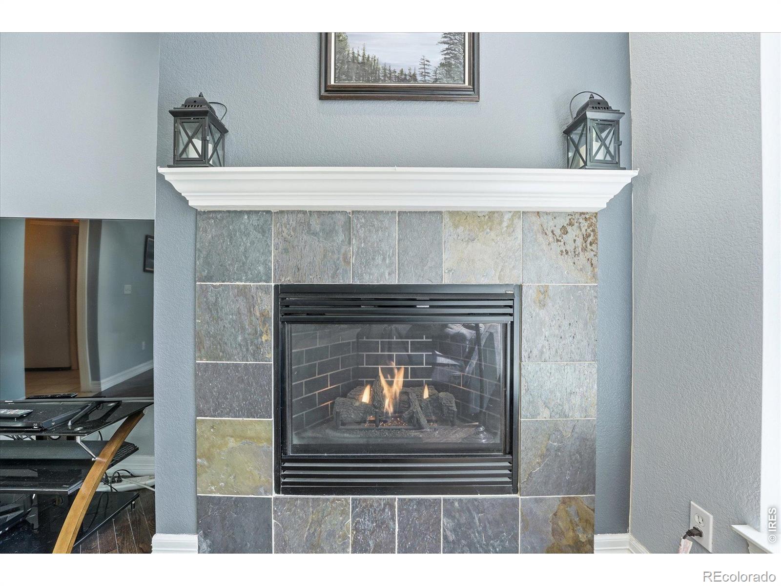 MLS Image #21 for 651  americana road,longmont, Colorado