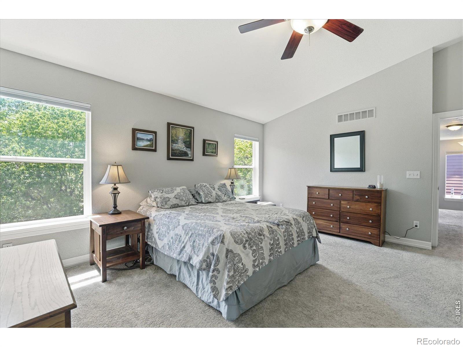 MLS Image #26 for 651  americana road,longmont, Colorado