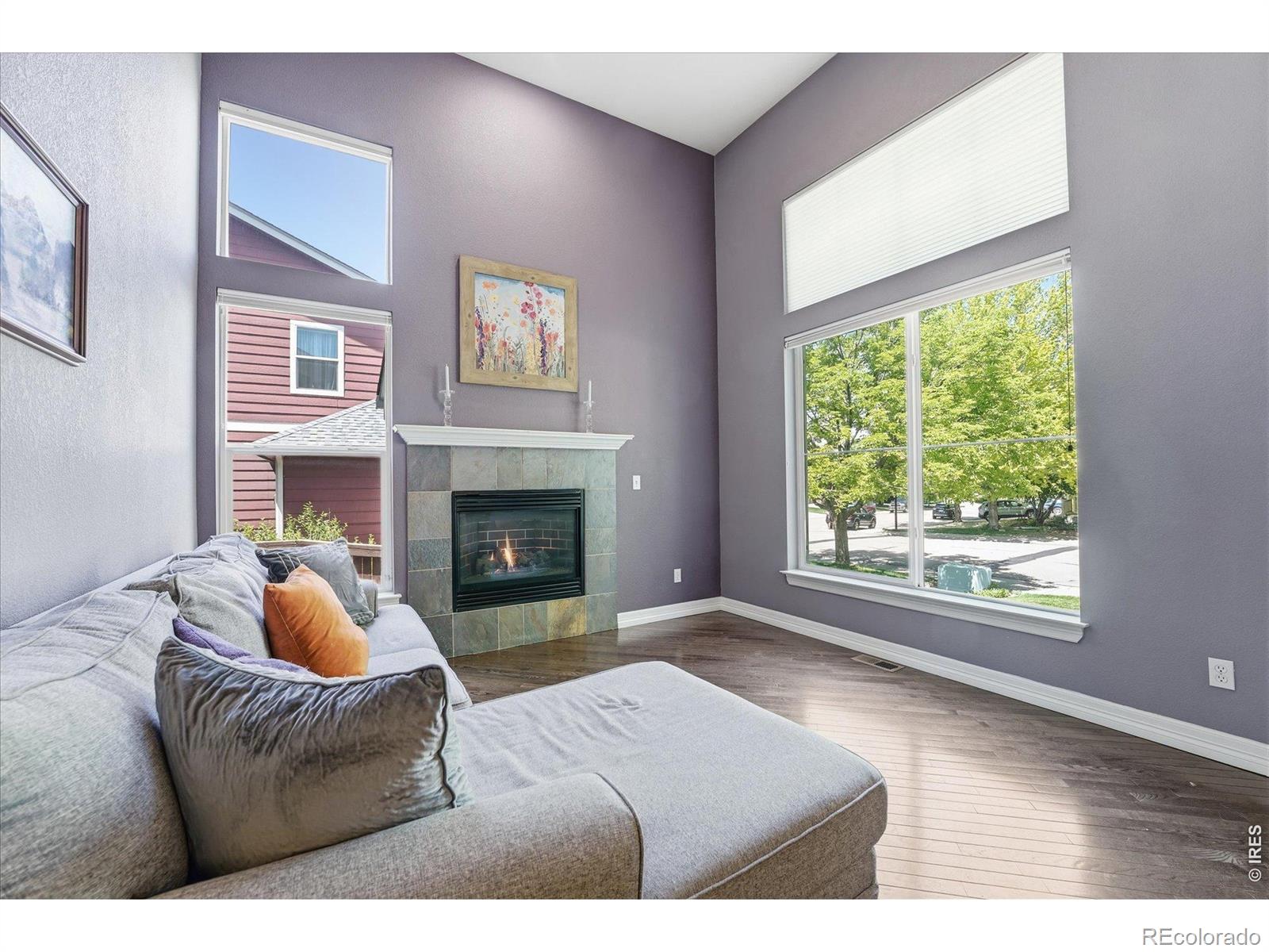 MLS Image #4 for 651  americana road,longmont, Colorado