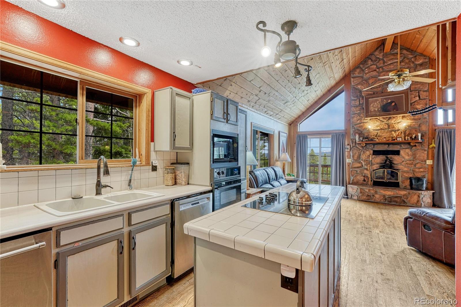 MLS Image #17 for 153  nebraska drive,idaho springs, Colorado