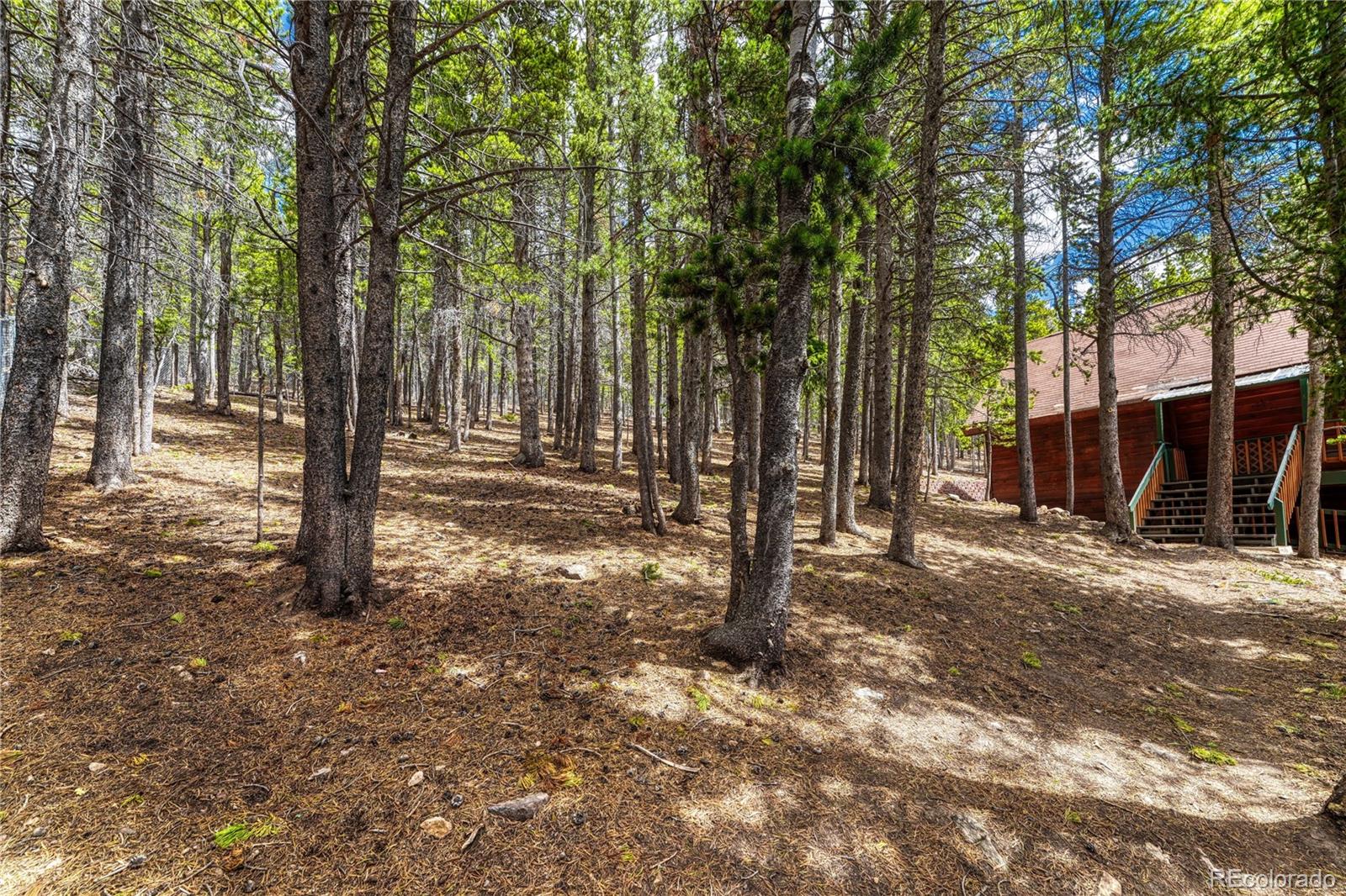 MLS Image #41 for 153  nebraska drive,idaho springs, Colorado