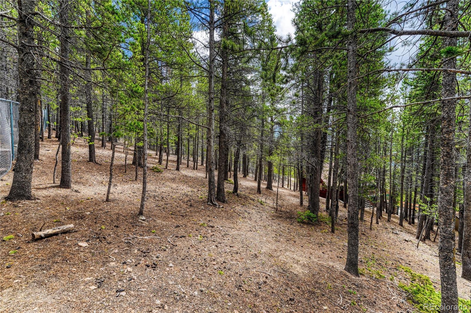 MLS Image #42 for 153  nebraska drive,idaho springs, Colorado