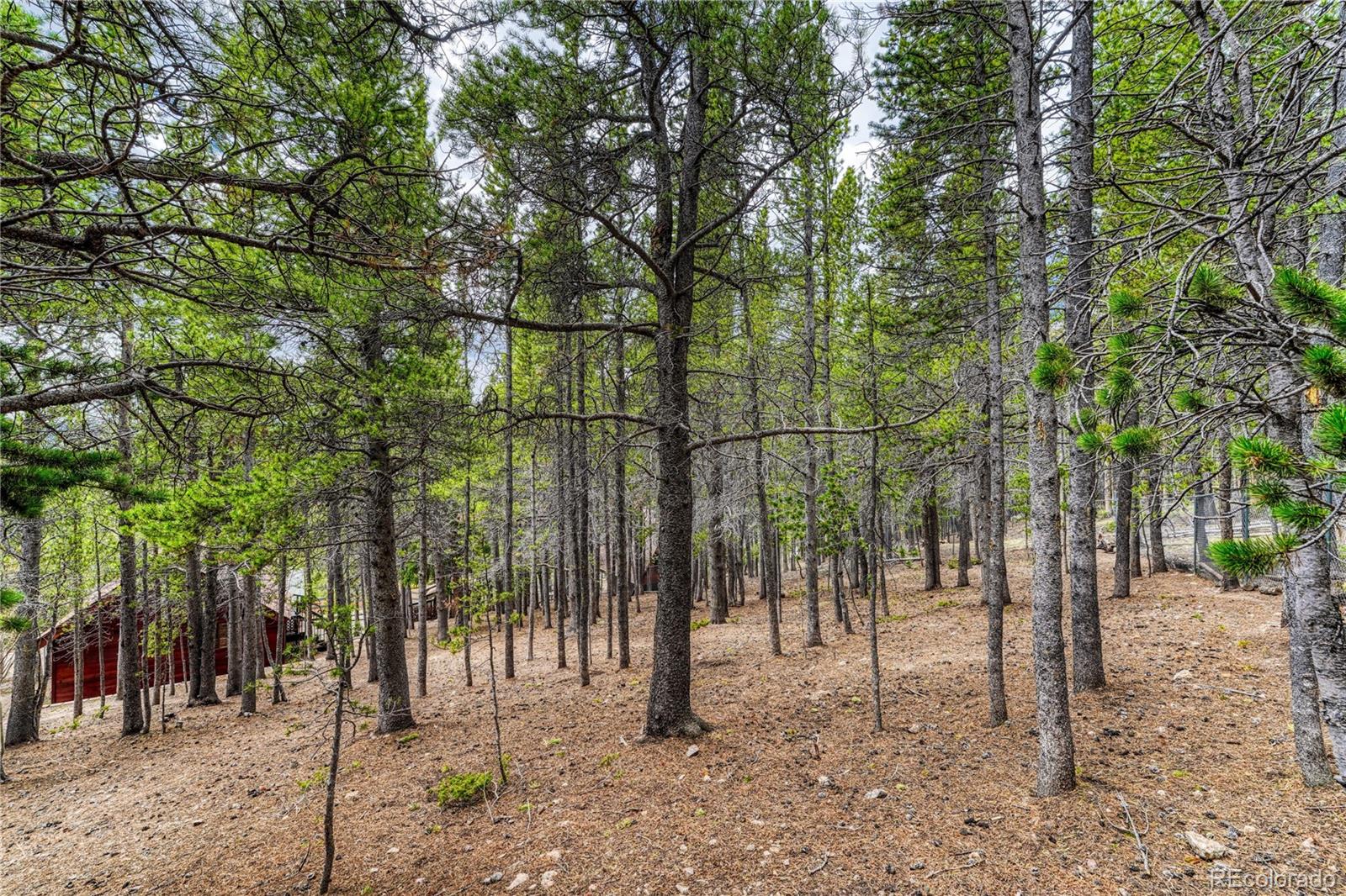 MLS Image #43 for 153  nebraska drive,idaho springs, Colorado