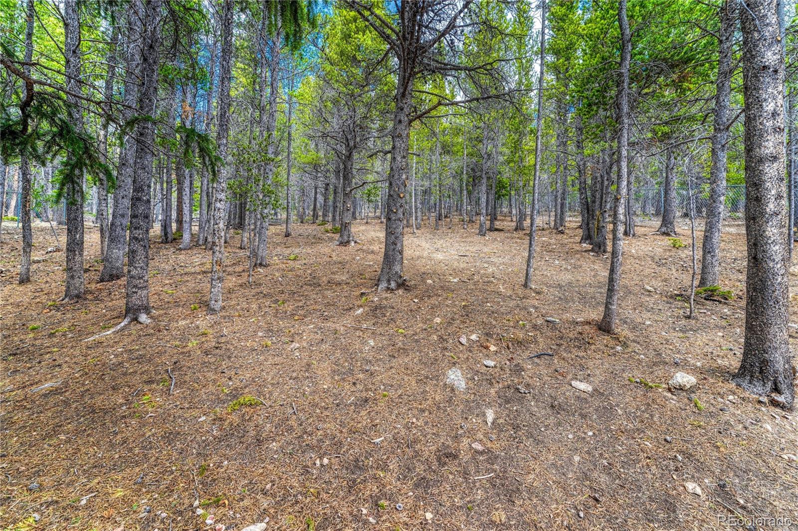 MLS Image #44 for 153  nebraska drive,idaho springs, Colorado