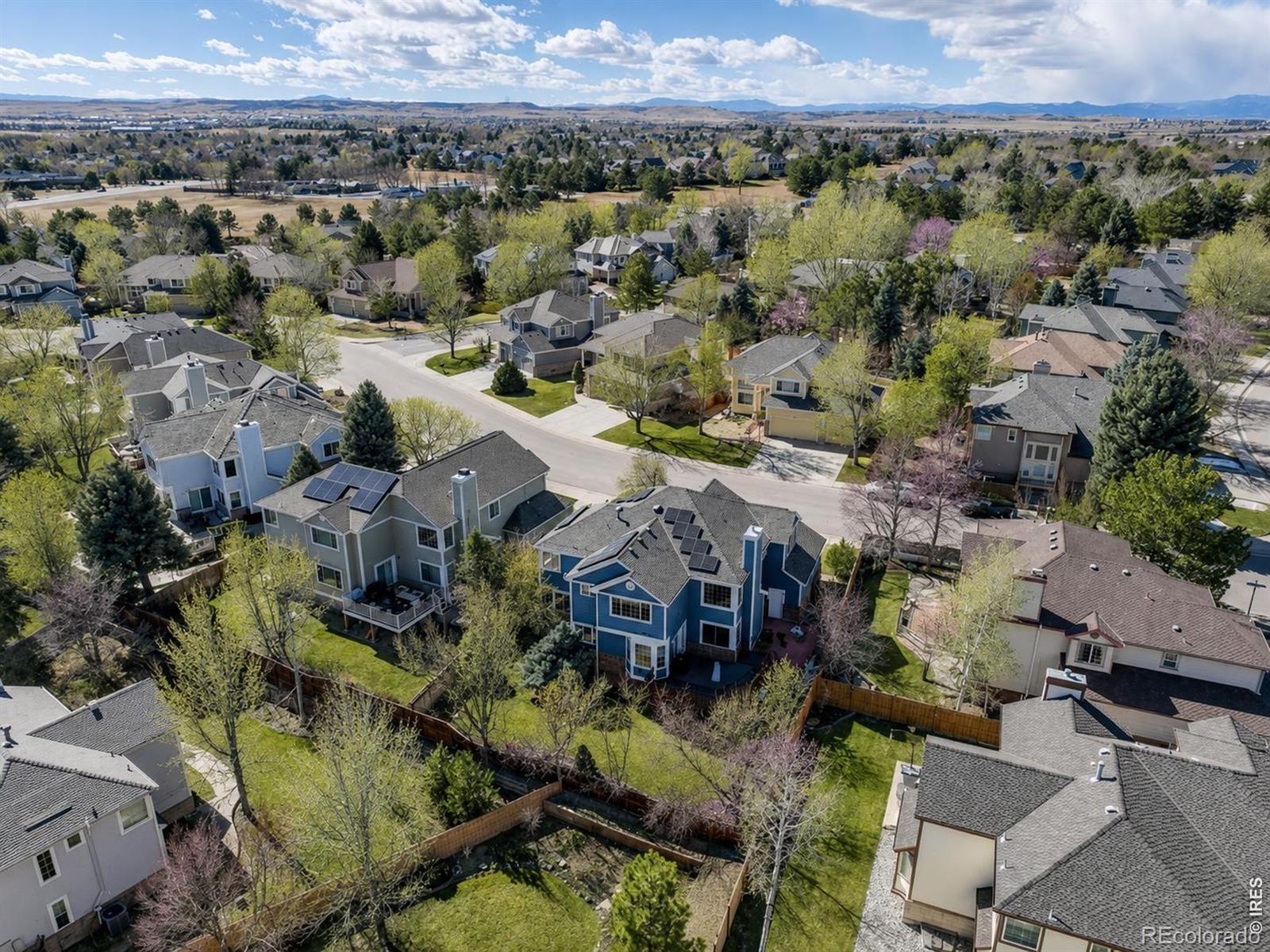 MLS Image #5 for 10130  lodestone way,parker, Colorado