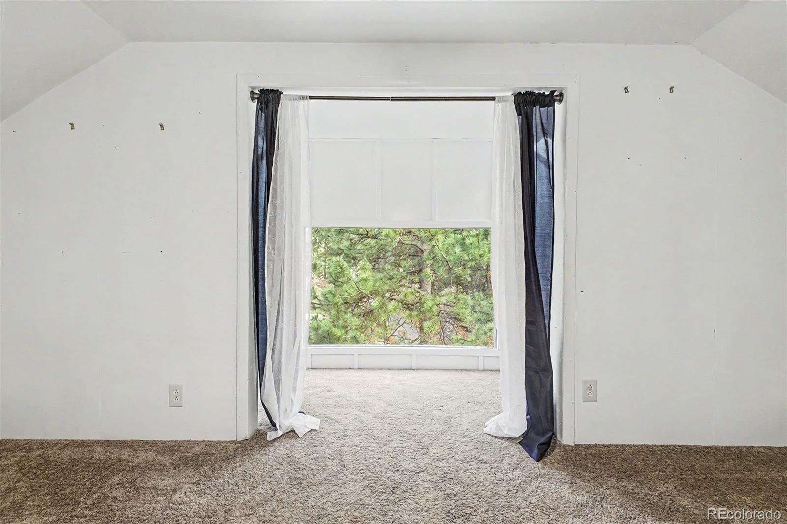 MLS Image #14 for 145  bailey drive,bailey, Colorado