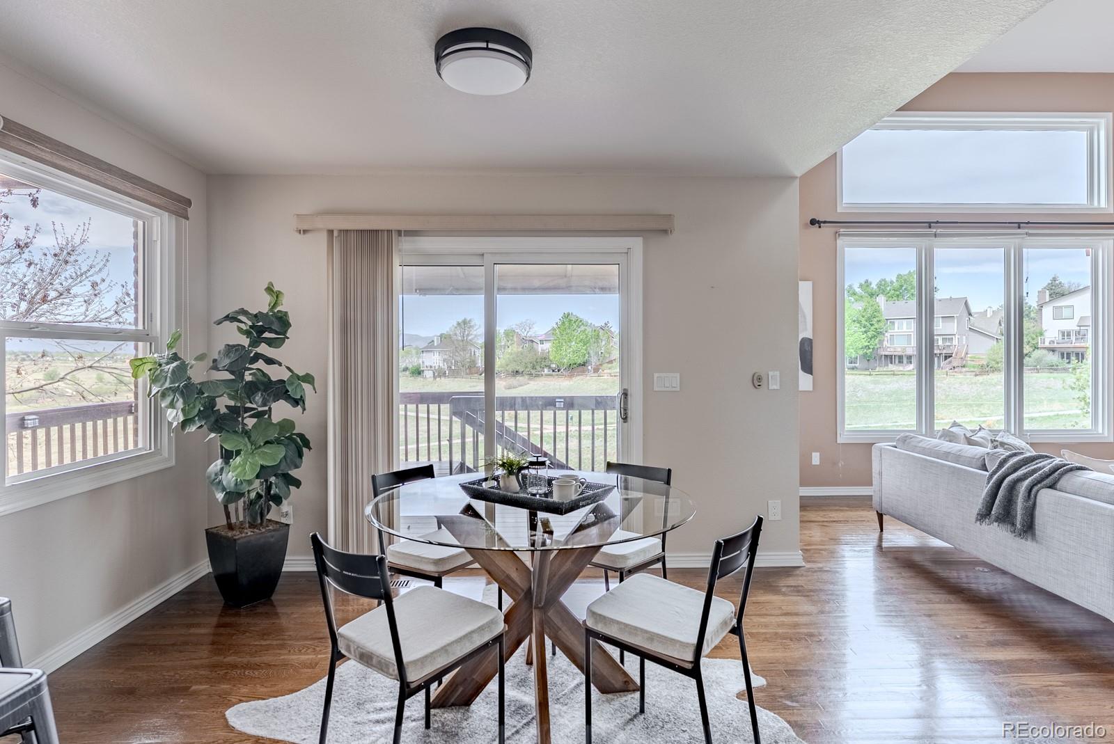 MLS Image #10 for 1914  terrace drive,highlands ranch, Colorado