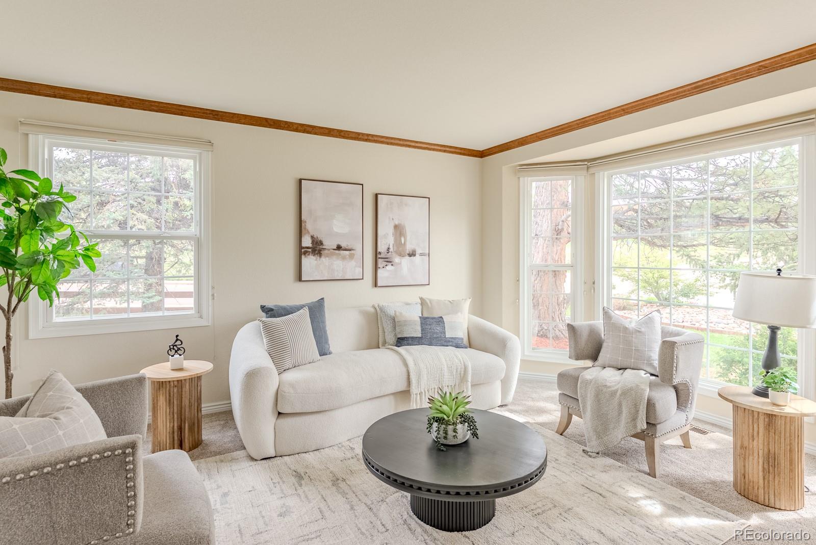 MLS Image #14 for 1914  terrace drive,highlands ranch, Colorado