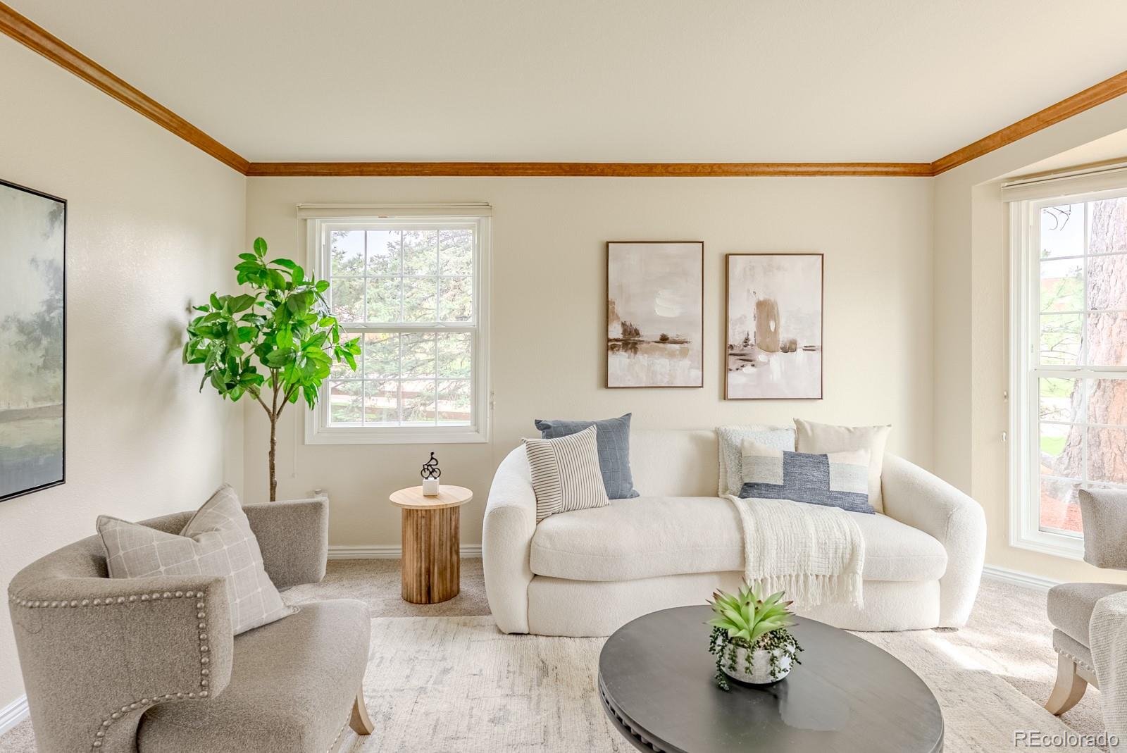 MLS Image #15 for 1914  terrace drive,highlands ranch, Colorado