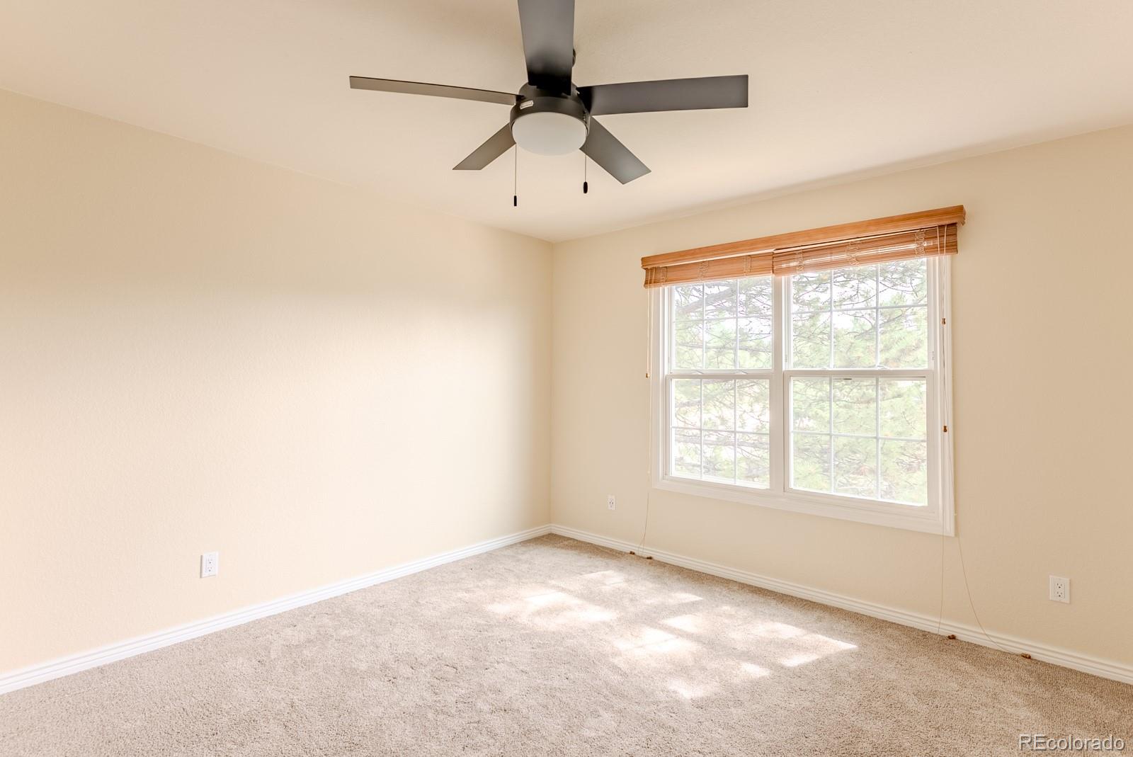 MLS Image #29 for 1914  terrace drive,highlands ranch, Colorado