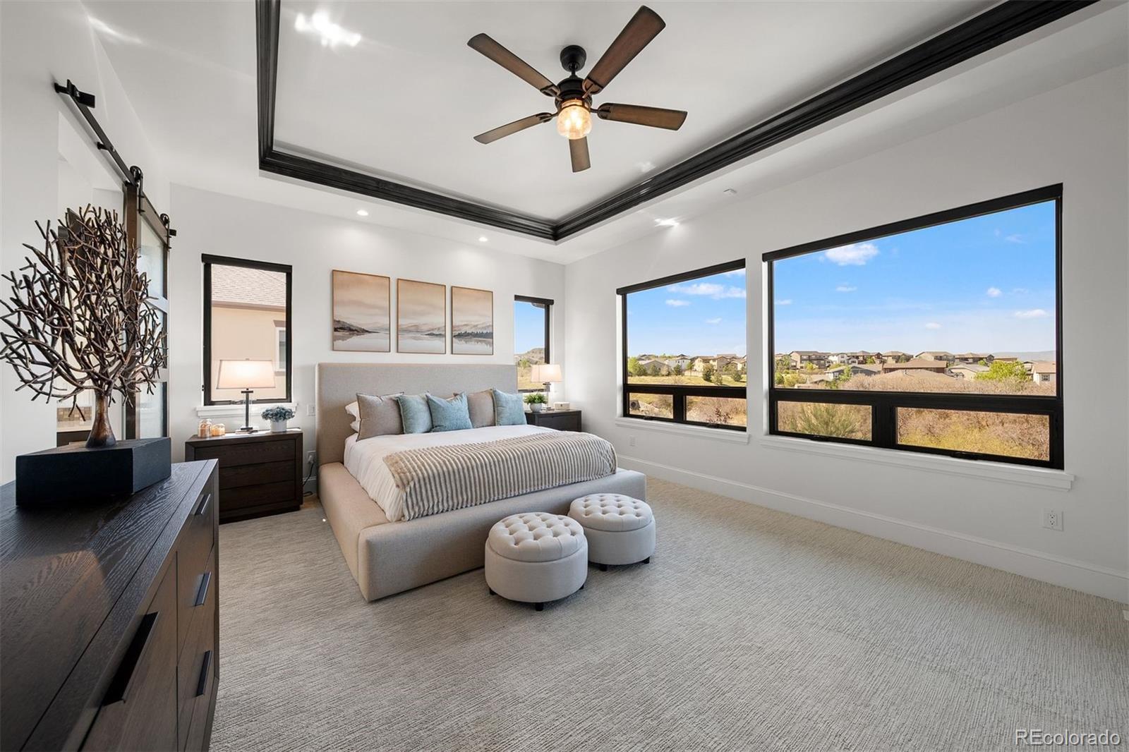MLS Image #16 for 258  castlemaine court,castle rock, Colorado