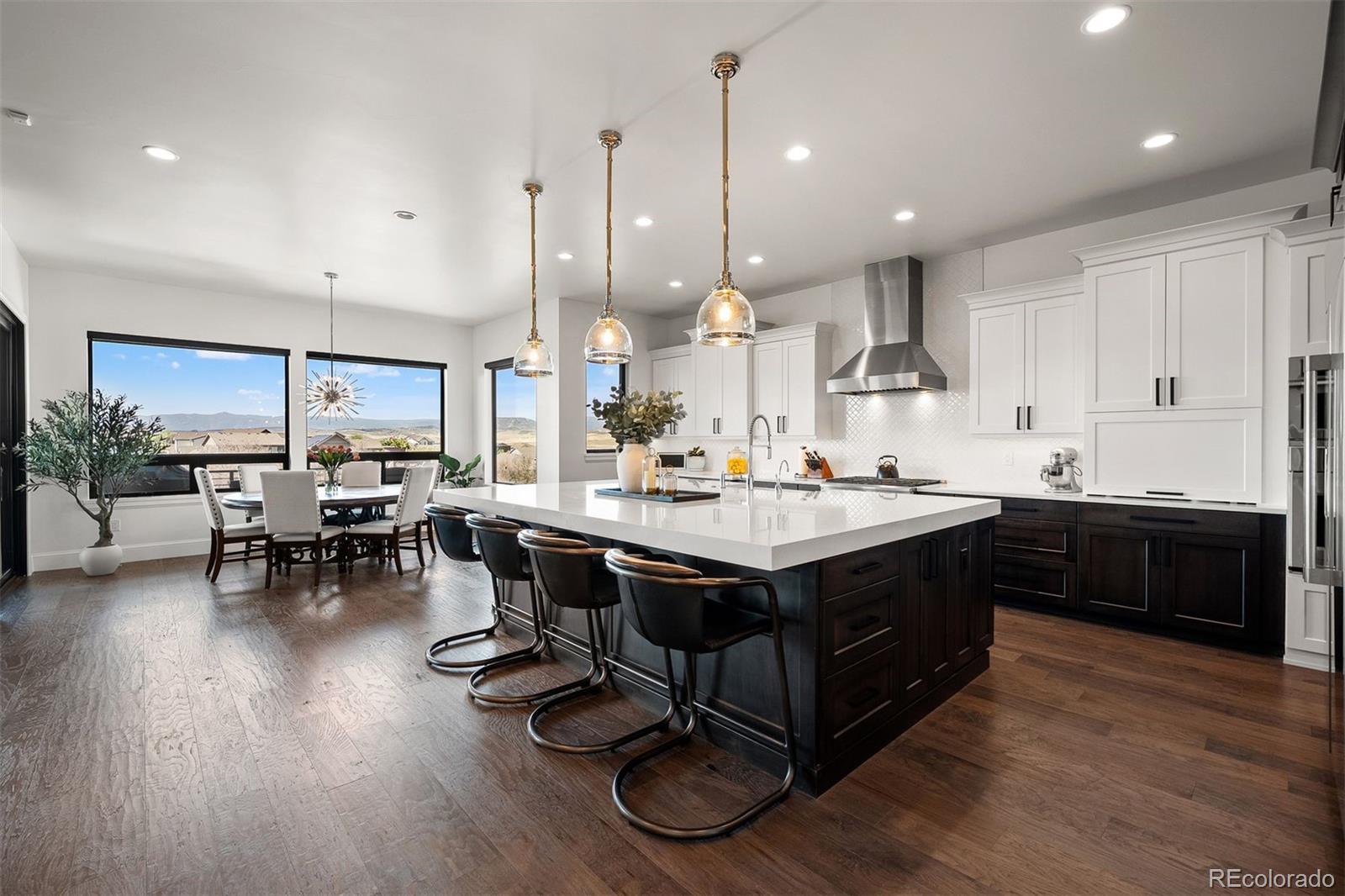 MLS Image #4 for 258  castlemaine court,castle rock, Colorado