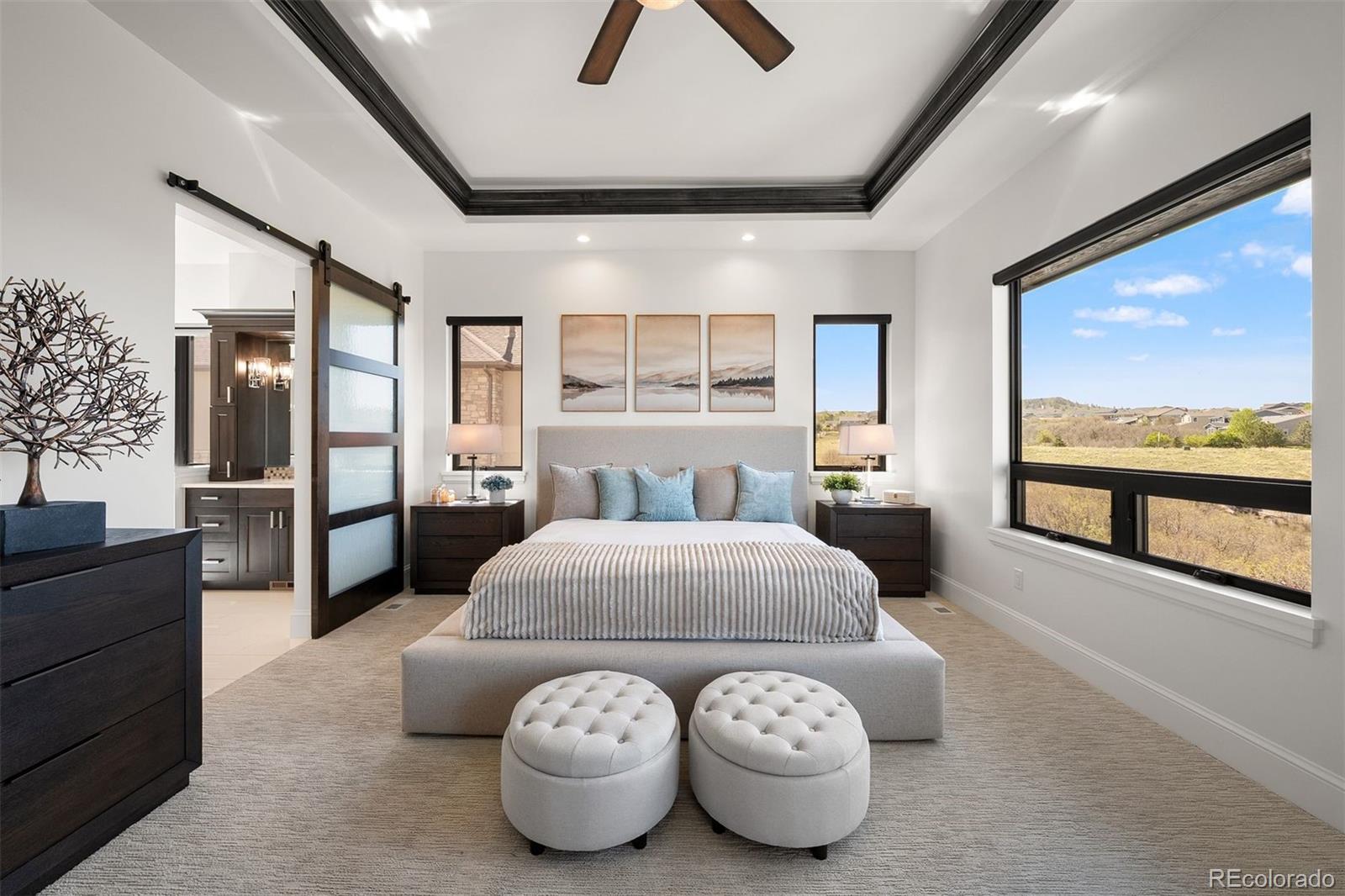 MLS Image #5 for 258  castlemaine court,castle rock, Colorado