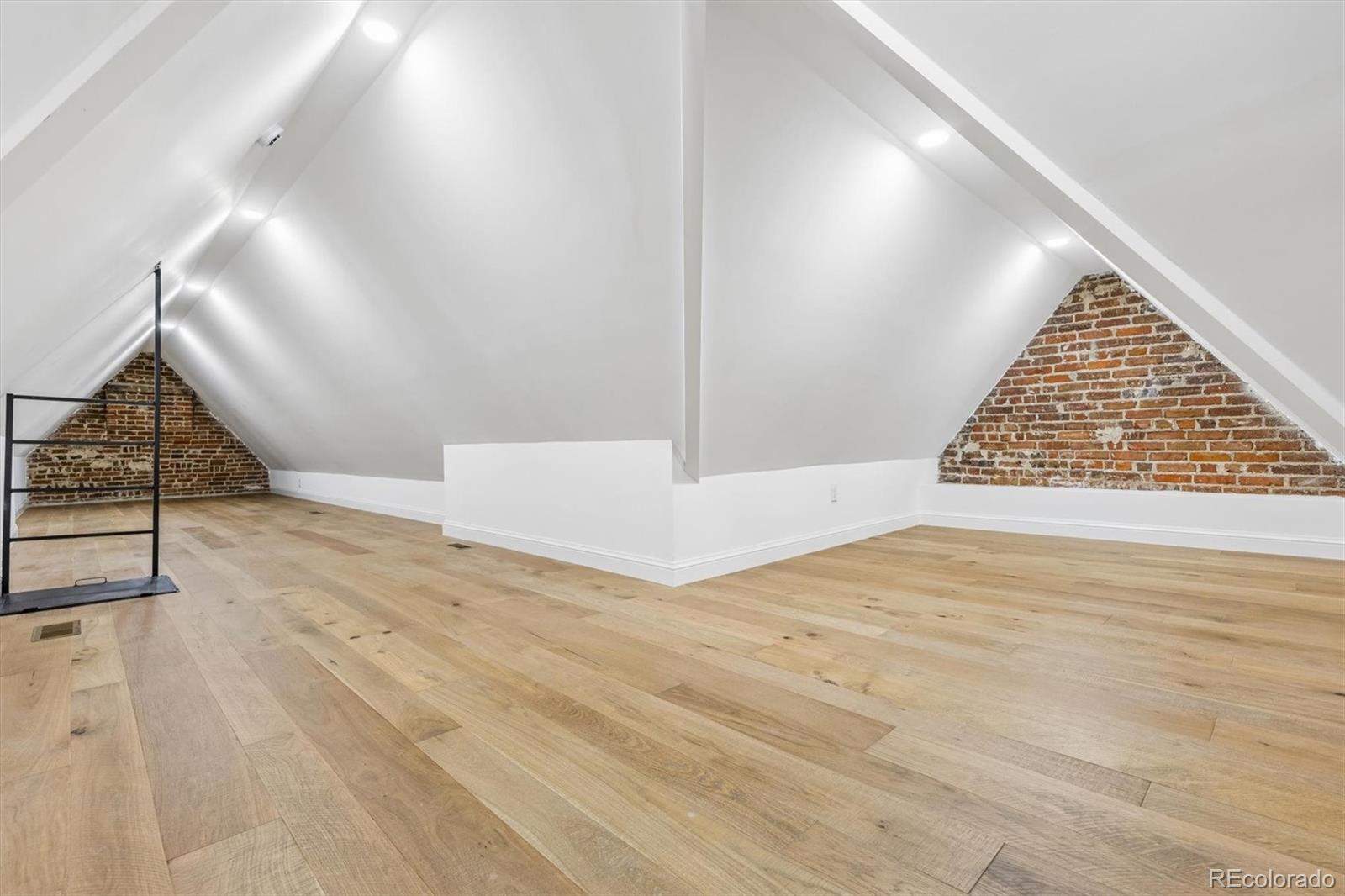 MLS Image #39 for 177  race street,denver, Colorado