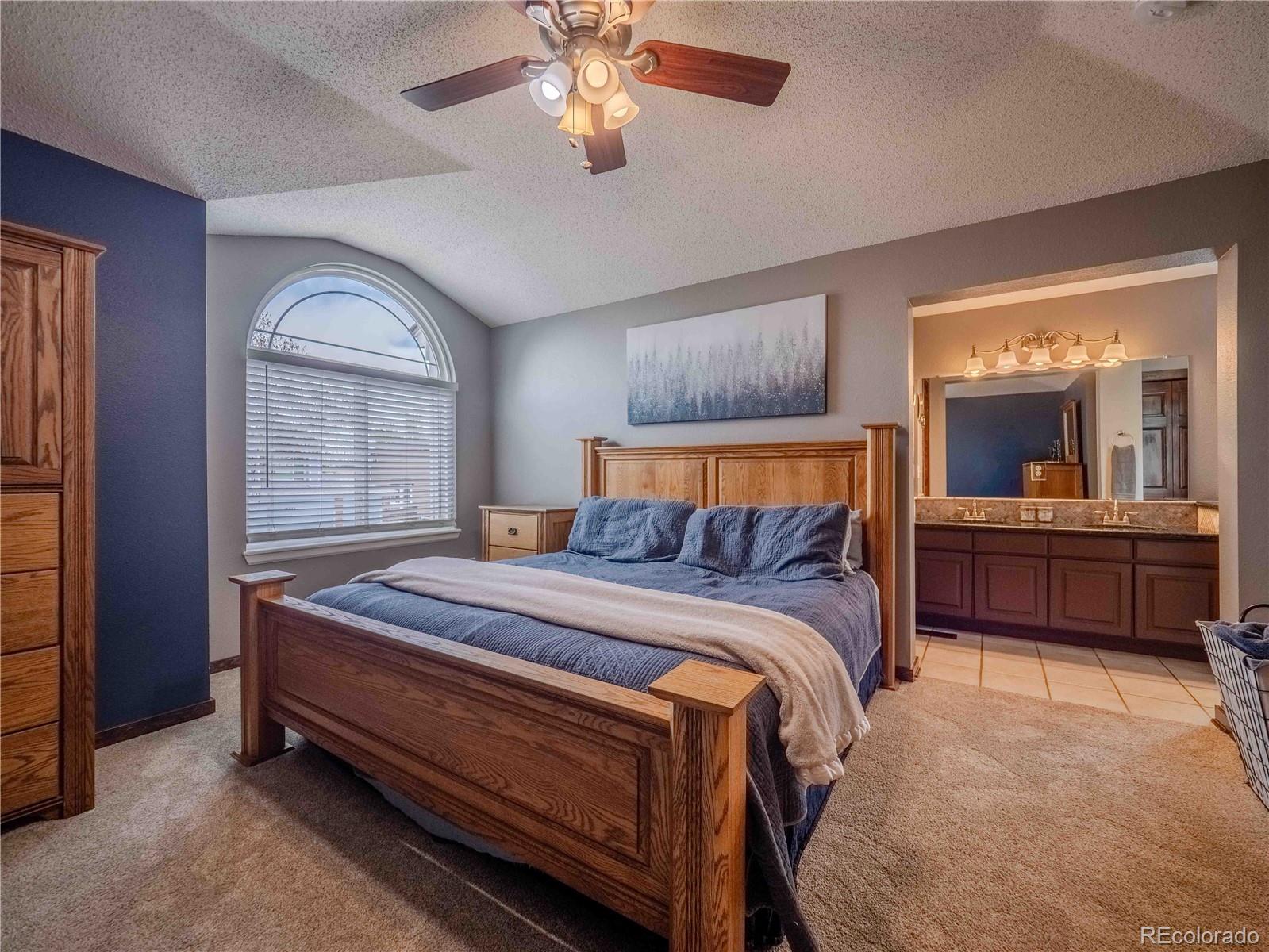 MLS Image #26 for 10071  silver maple circle,highlands ranch, Colorado