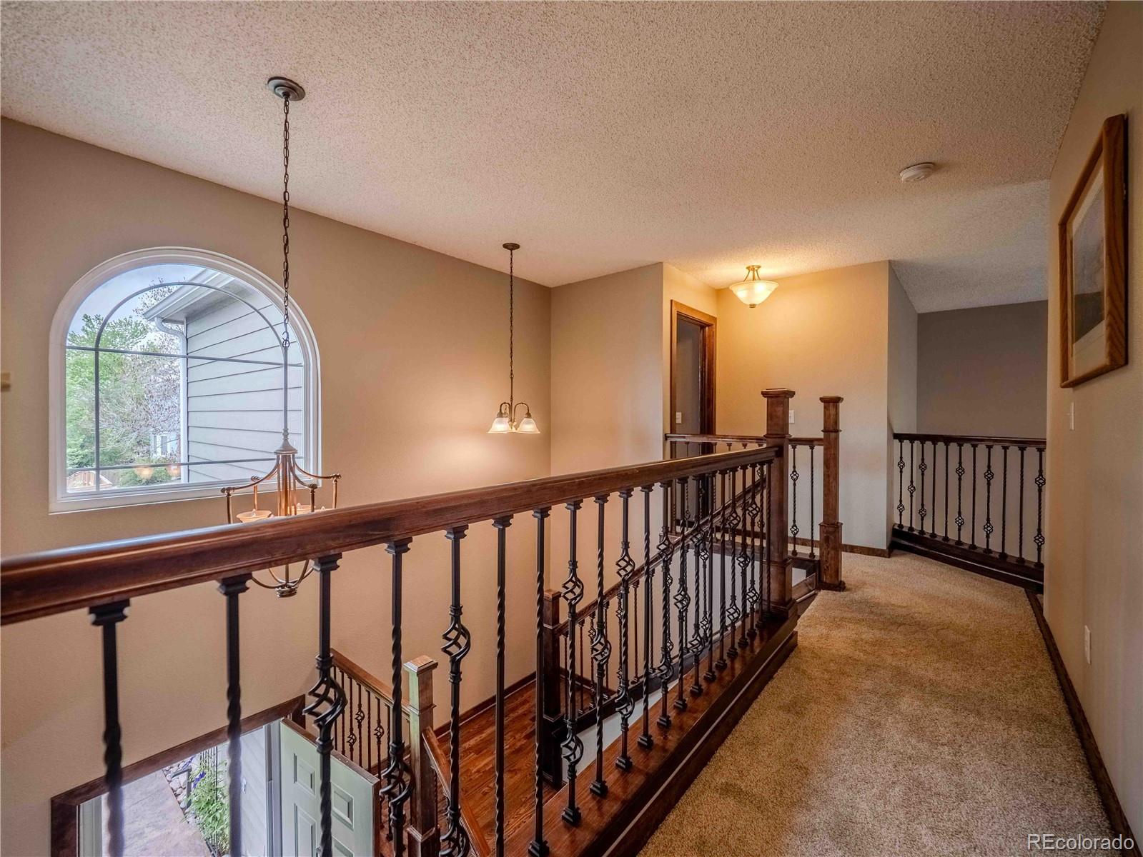 MLS Image #42 for 10071  silver maple circle,highlands ranch, Colorado