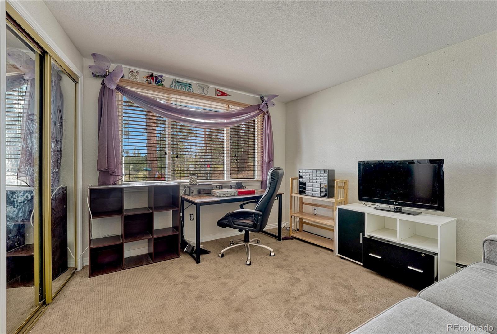 MLS Image #28 for 6541  alpine drive,parker, Colorado