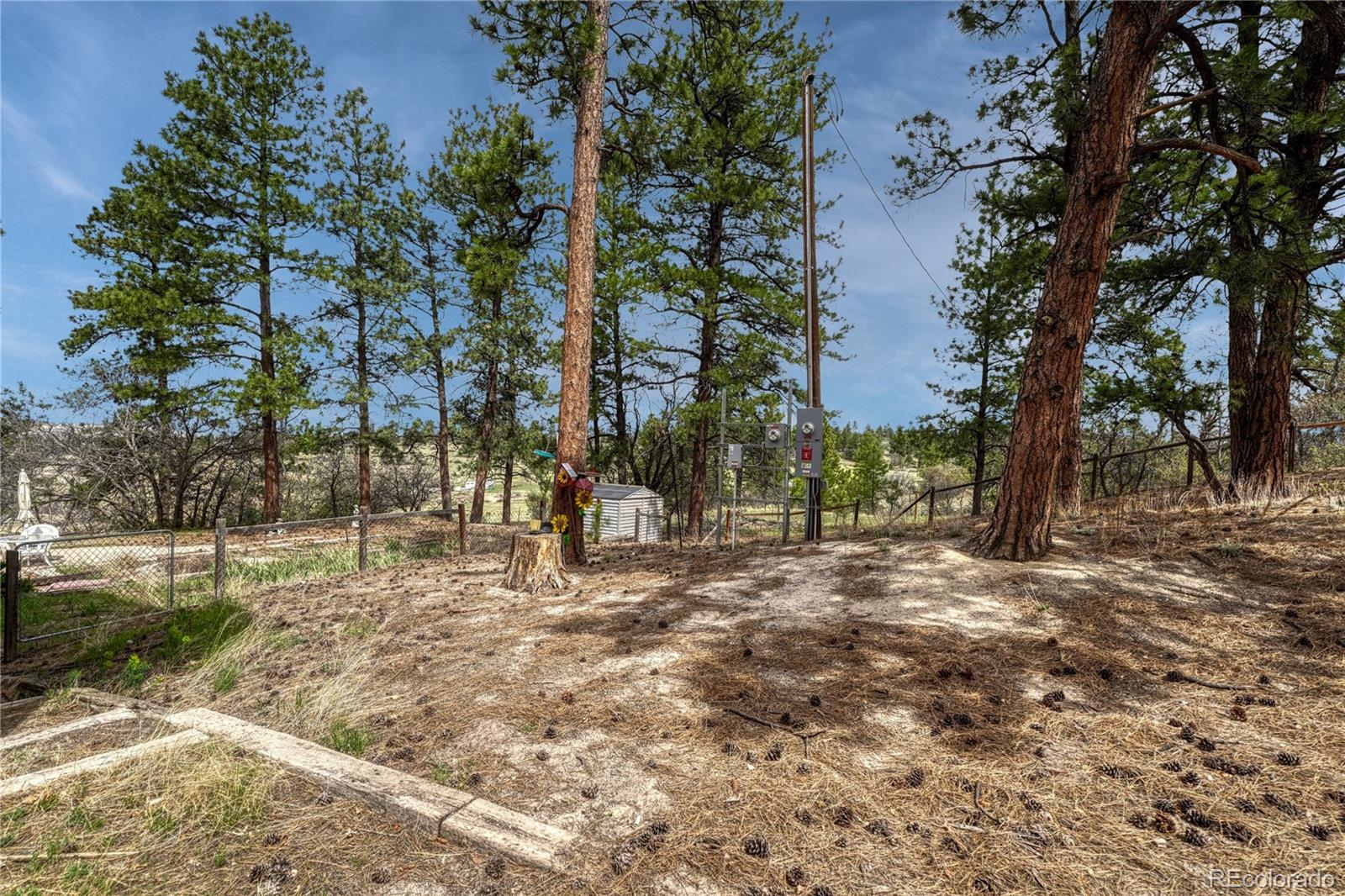 MLS Image #35 for 6541  alpine drive,parker, Colorado