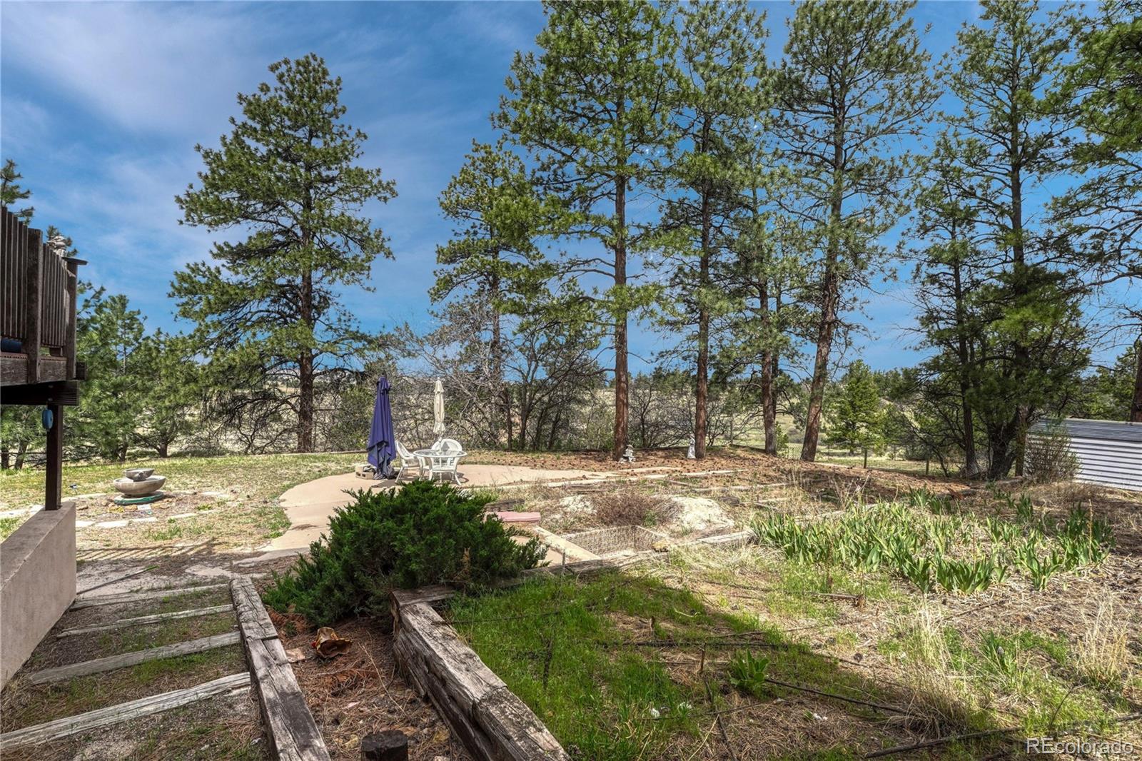 MLS Image #37 for 6541  alpine drive,parker, Colorado