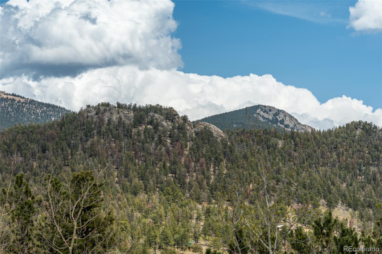 MLS Image #13 for 75  york court,jefferson, Colorado