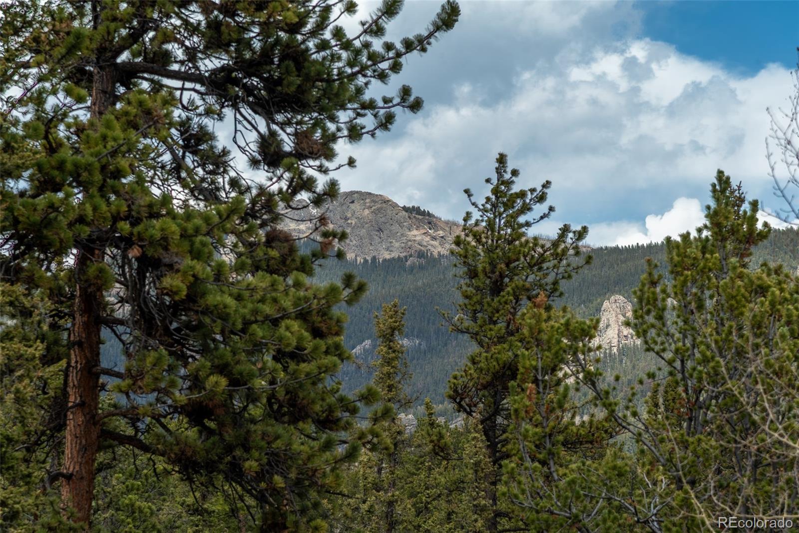 MLS Image #14 for 75  york court,jefferson, Colorado