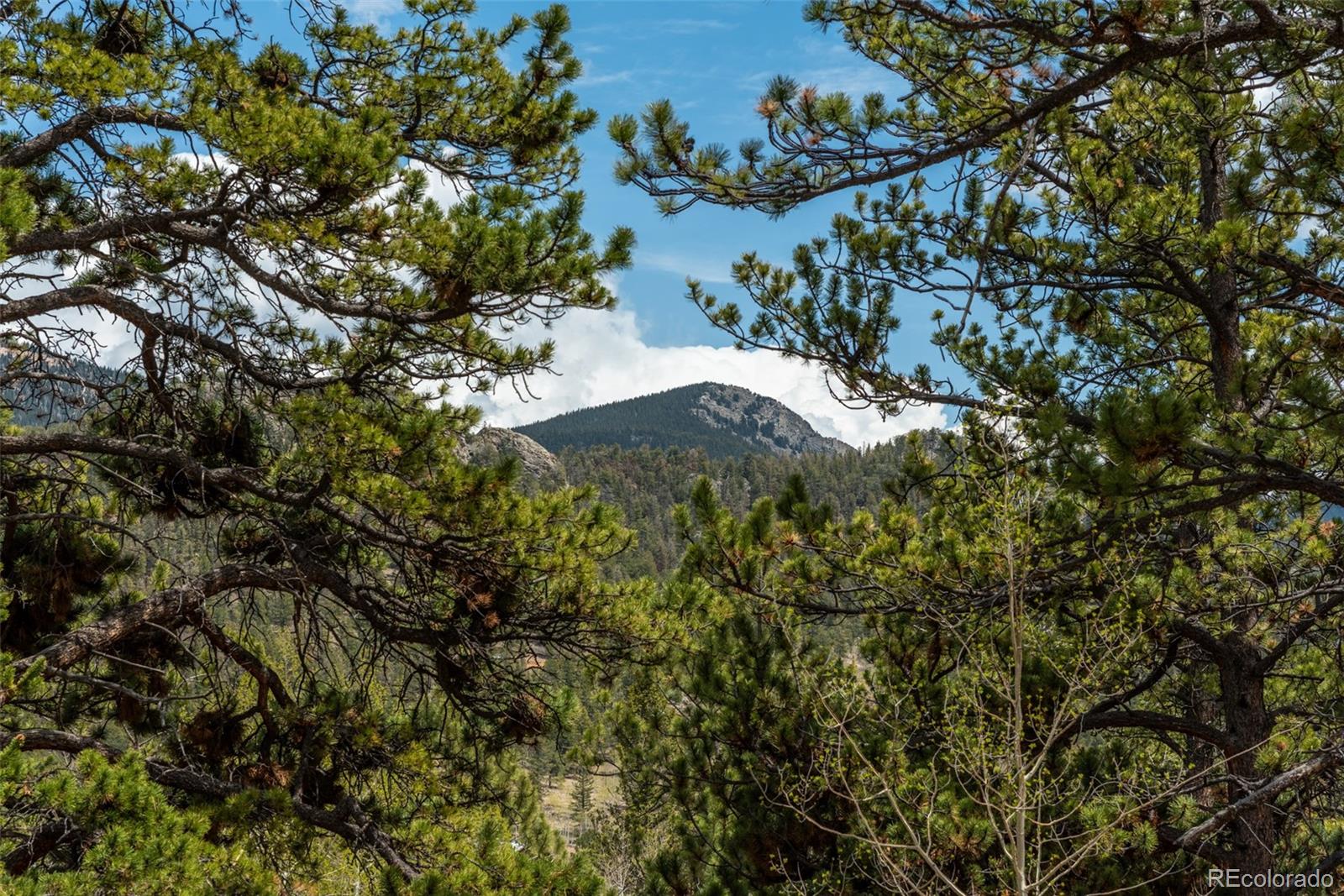 MLS Image #15 for 75  york court,jefferson, Colorado