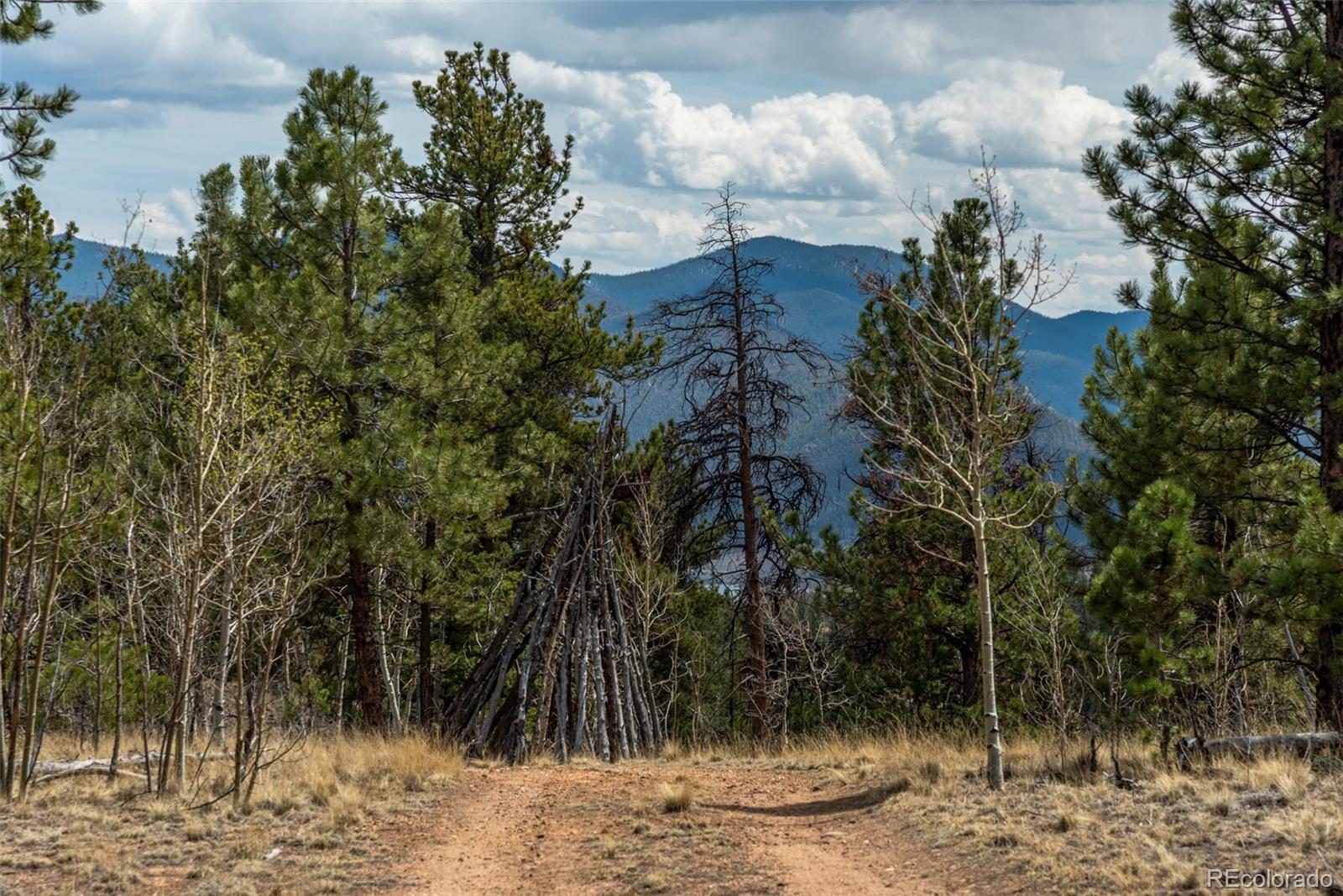 MLS Image #16 for 75  york court,jefferson, Colorado