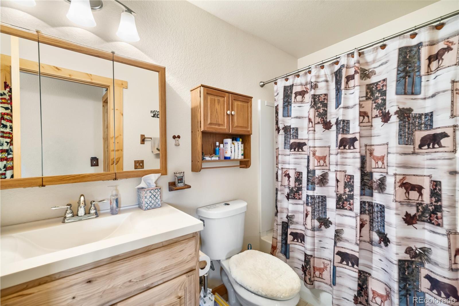 MLS Image #25 for 75  york court,jefferson, Colorado