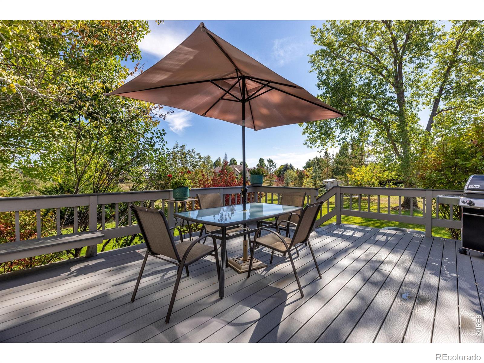 MLS Image #17 for 8726  crimson clover lane,longmont, Colorado