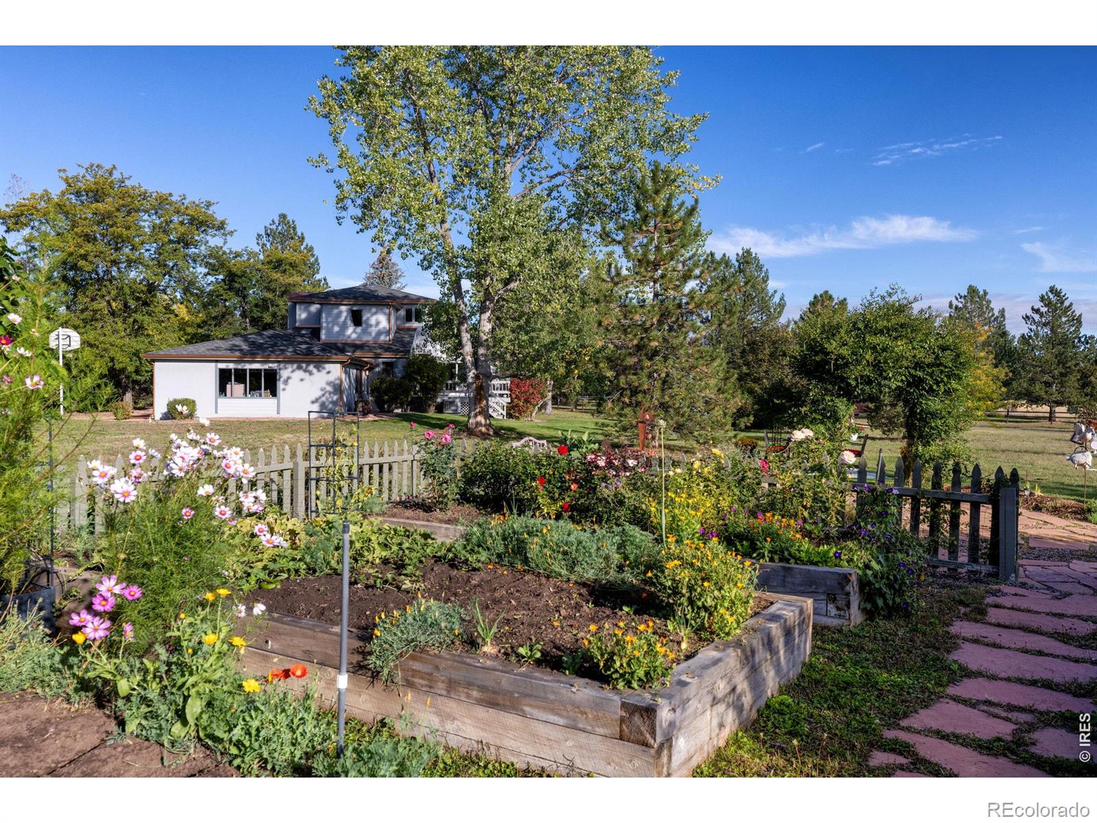 MLS Image #6 for 8726  crimson clover lane,longmont, Colorado