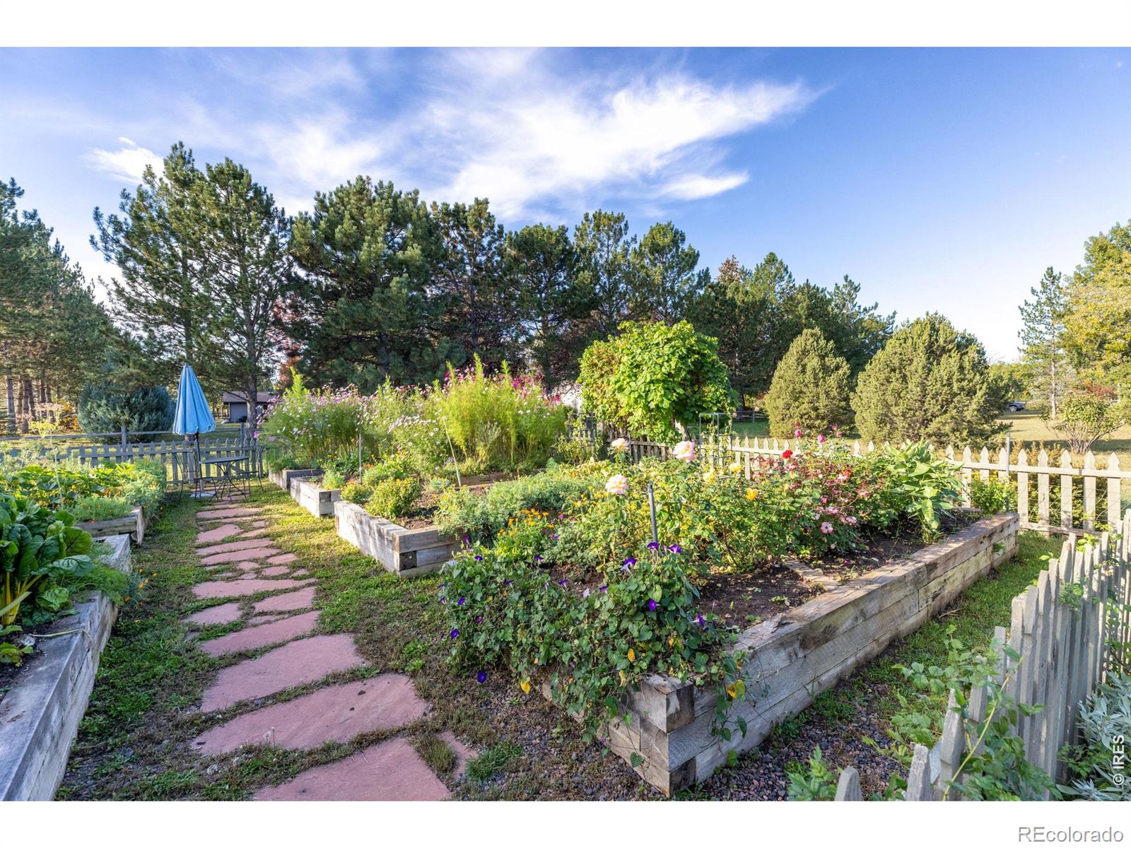 MLS Image #7 for 8726  crimson clover lane,longmont, Colorado