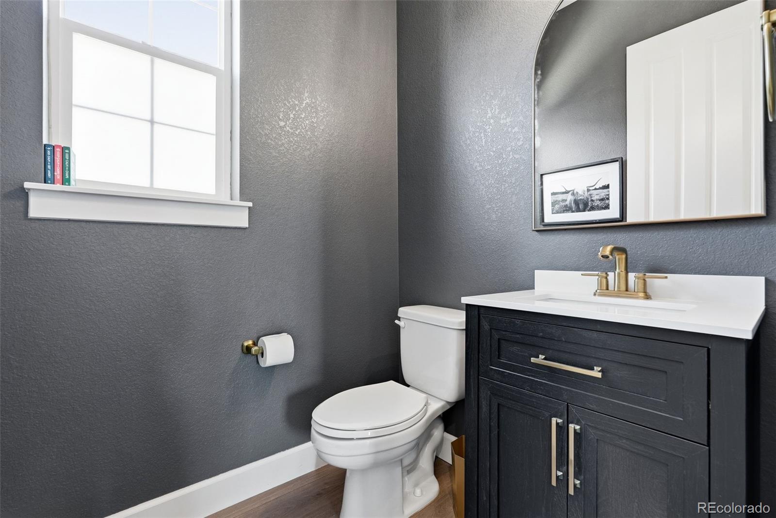 MLS Image #10 for 9436  mt jackson street,littleton, Colorado