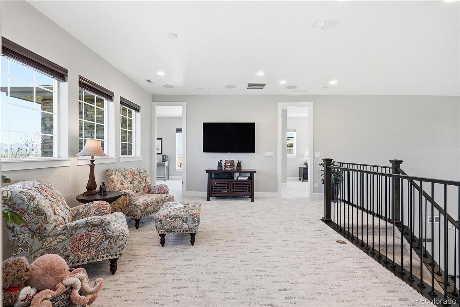 MLS Image #28 for 9436  mt jackson street,littleton, Colorado