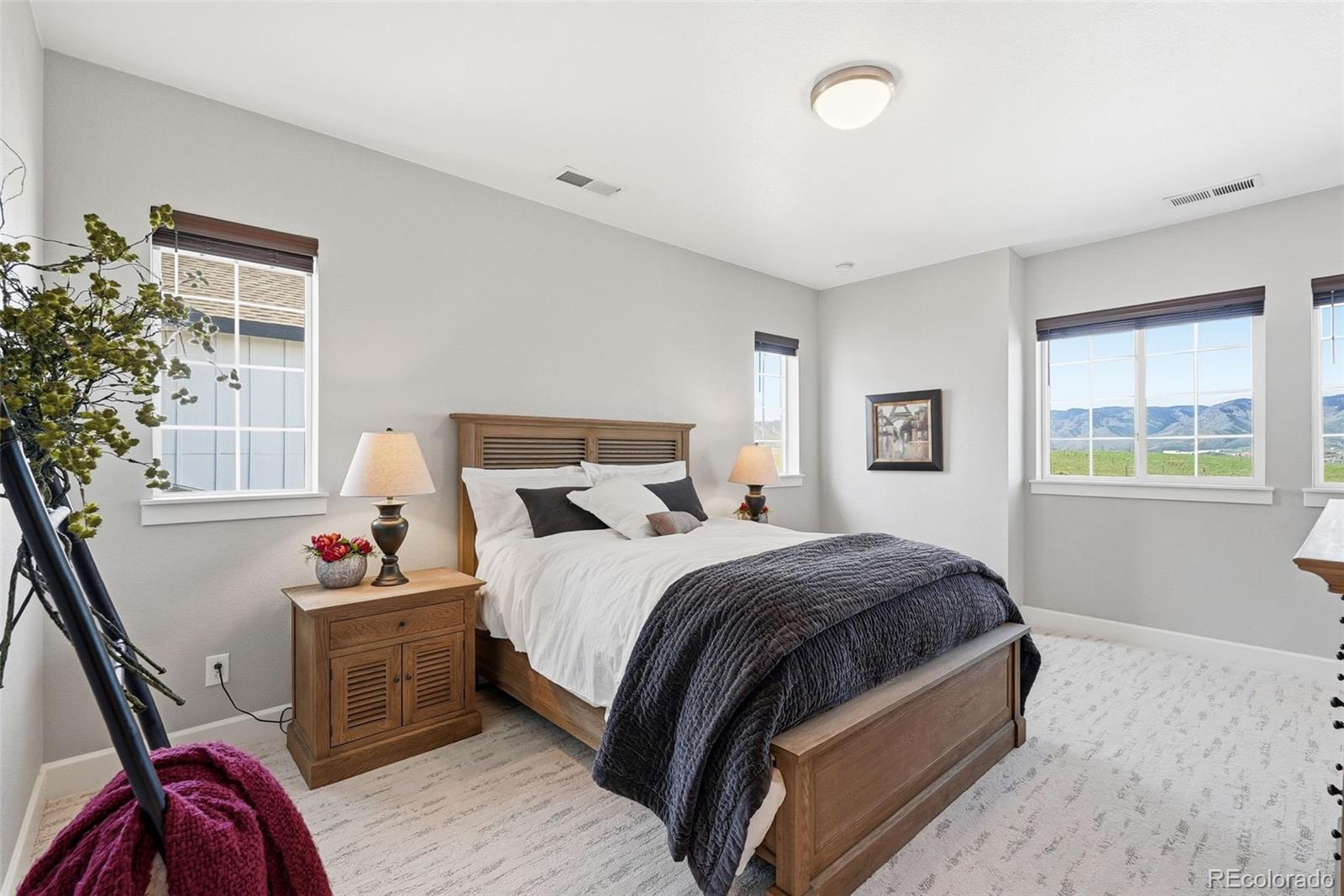 MLS Image #33 for 9436  mt jackson street,littleton, Colorado