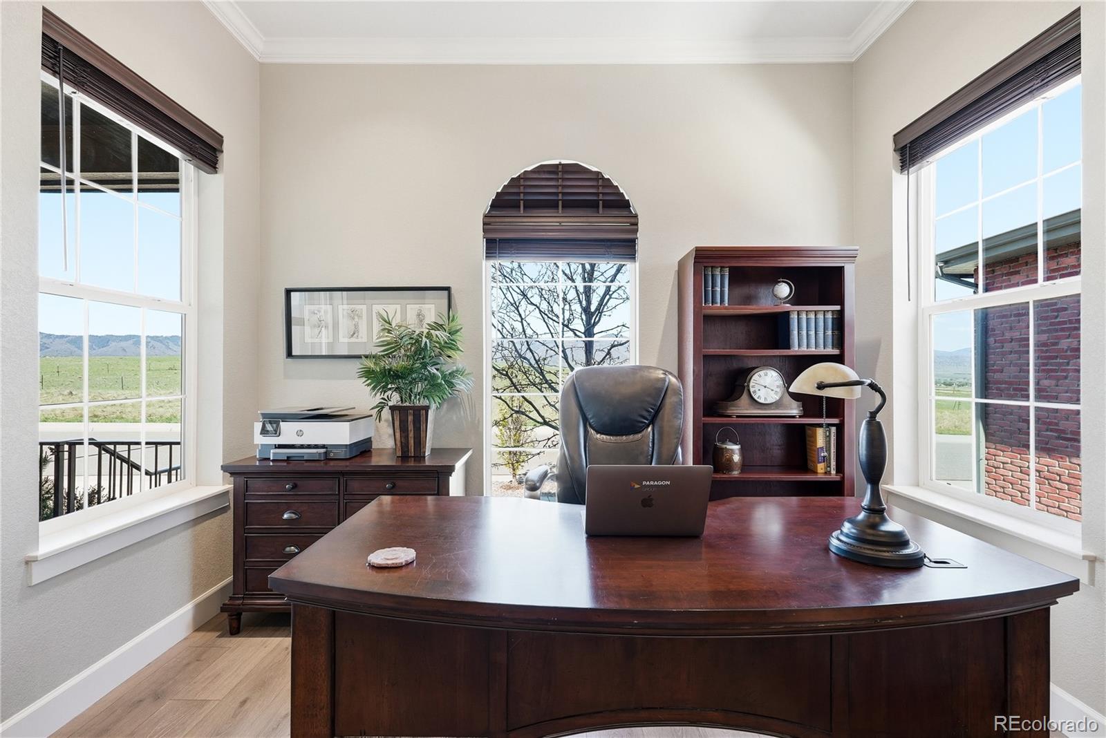MLS Image #9 for 9436  mt jackson street,littleton, Colorado