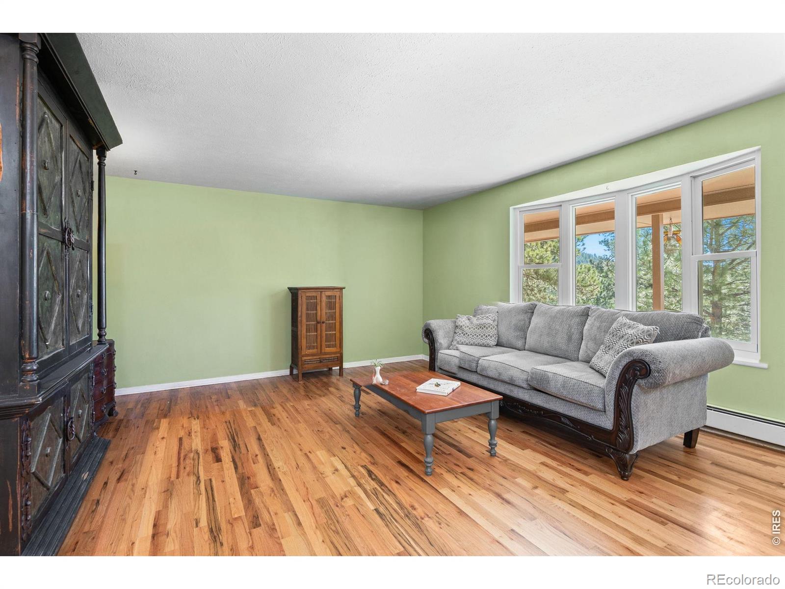 MLS Image #14 for 11053  lindsey road,conifer, Colorado