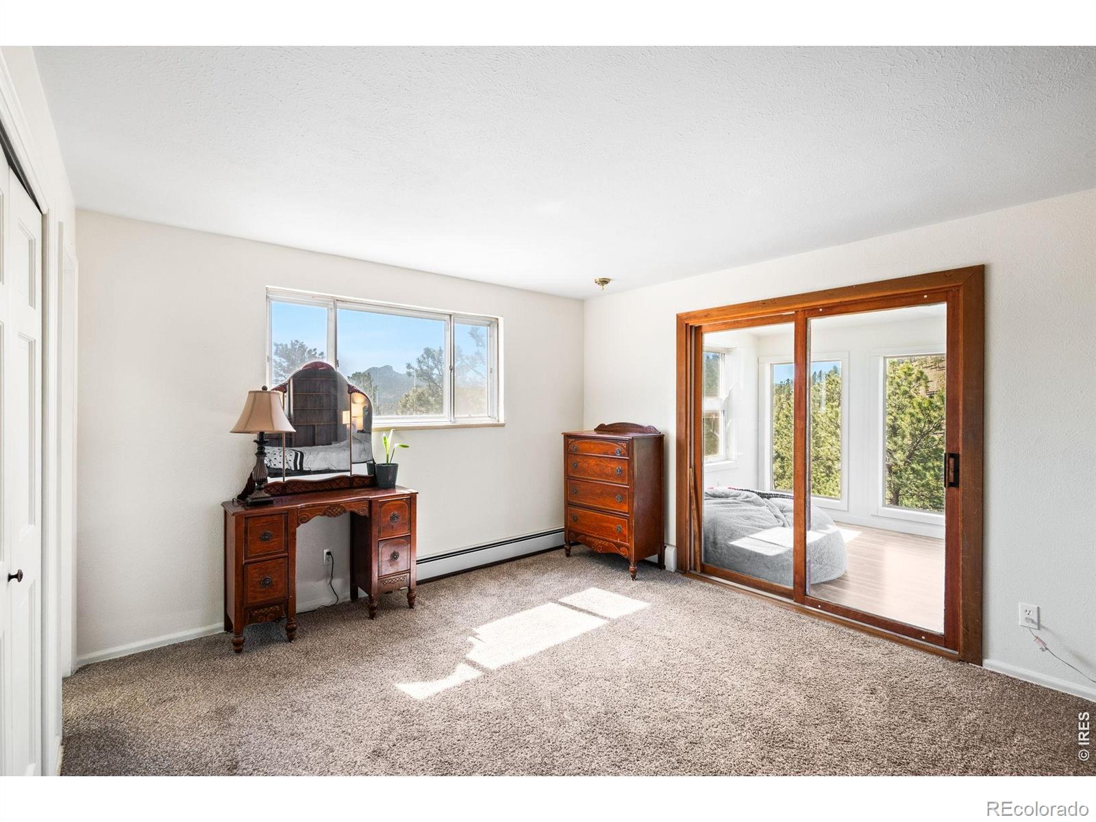 MLS Image #18 for 11053  lindsey road,conifer, Colorado