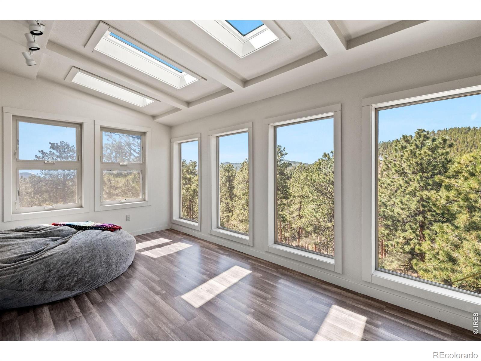 MLS Image #21 for 11053  lindsey road,conifer, Colorado